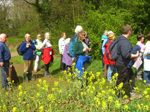 Beating the Bounds