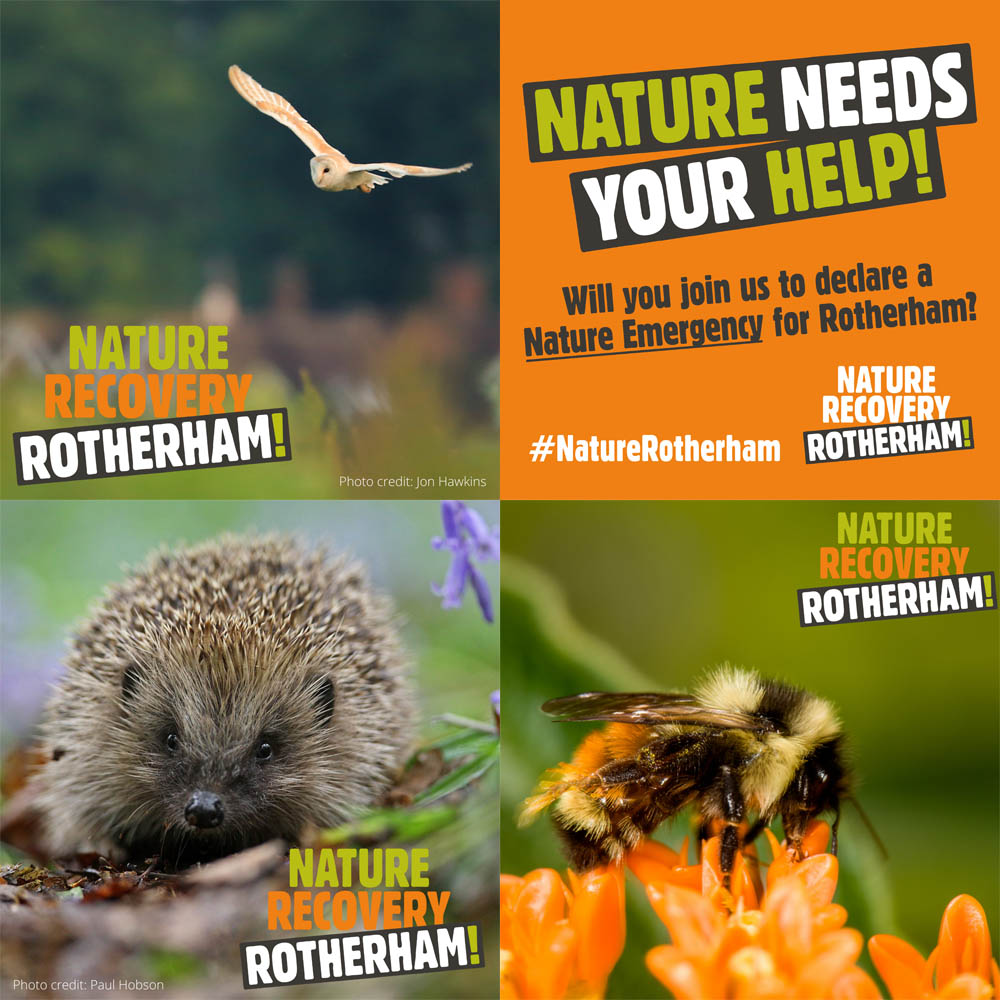 Nature Emergency Poster